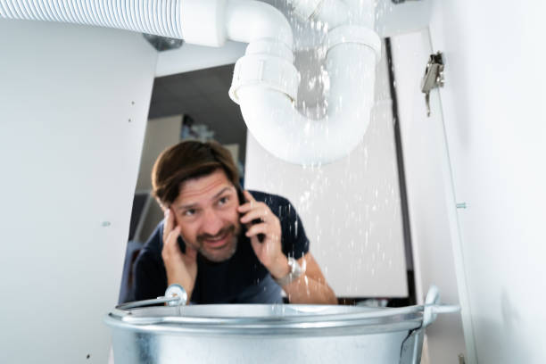 Best Affordable Plumbing Services  in Gouldtown, NJ